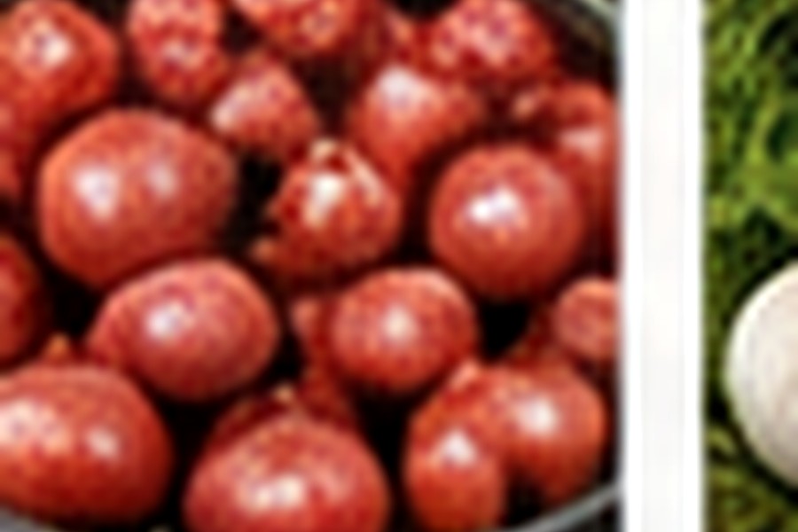 Processed Food