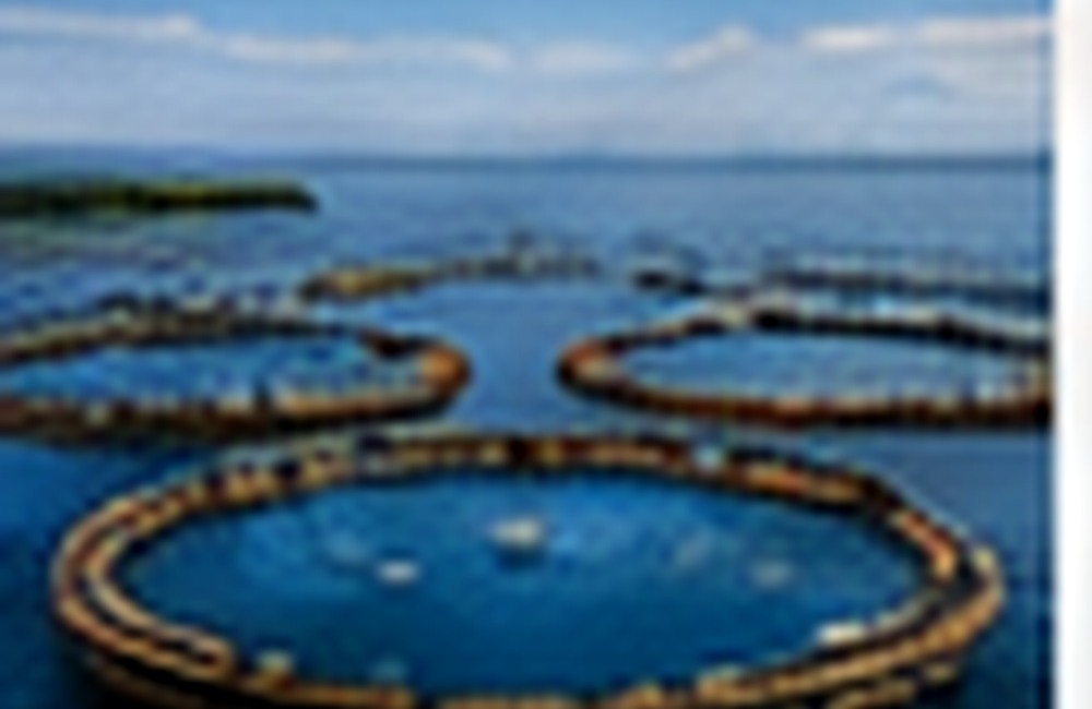 Aquaculture & Seafood